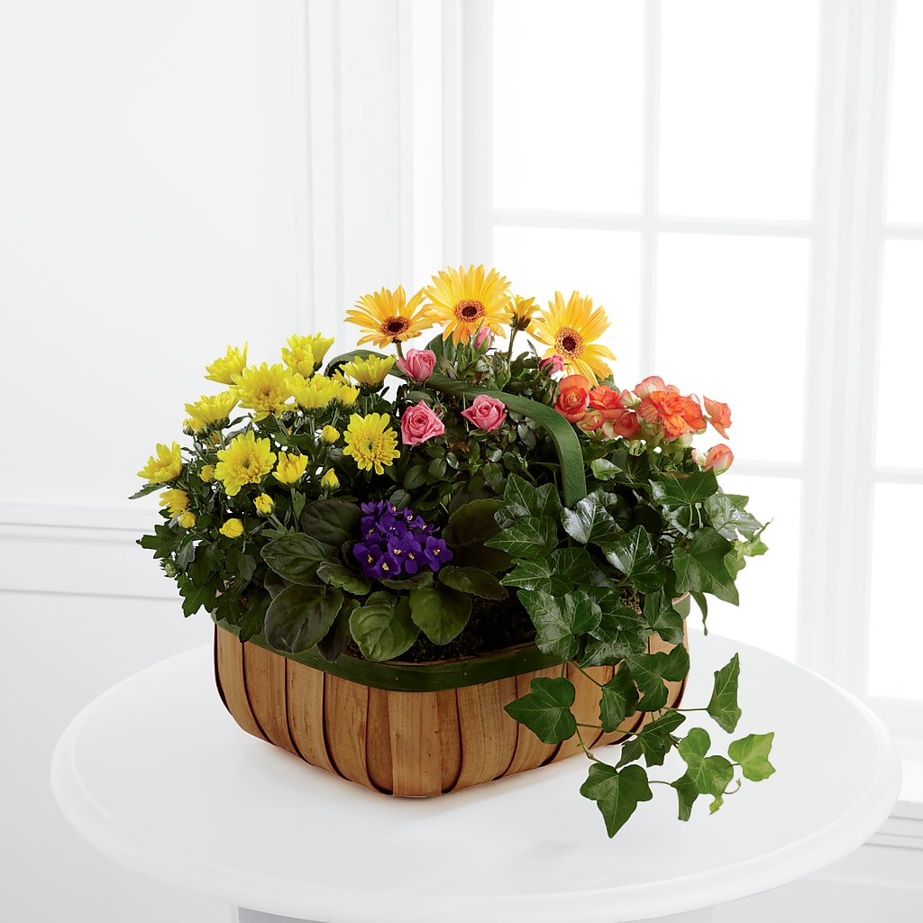 Gentle Blossoms Basket – Alex Floral, Stockton CA