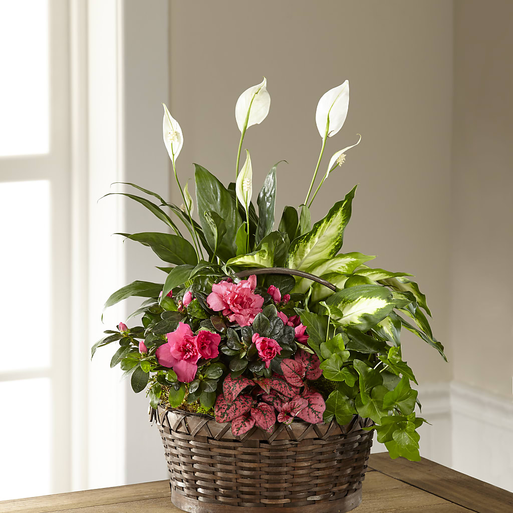 Dream in Pink Dishgarden – Alex Floral, Stockton CA