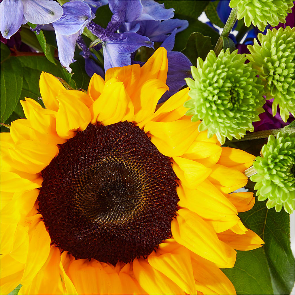 Catching Rays Bouquet – Alex Floral, Stockton CA