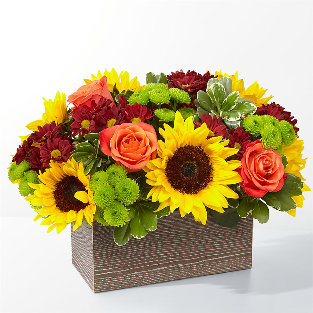Happy Harvest Garden – Alex Floral, Stockton CA