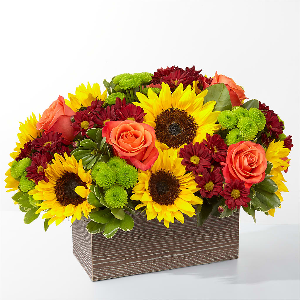 Happy Harvest Garden – Alex Floral, Stockton CA