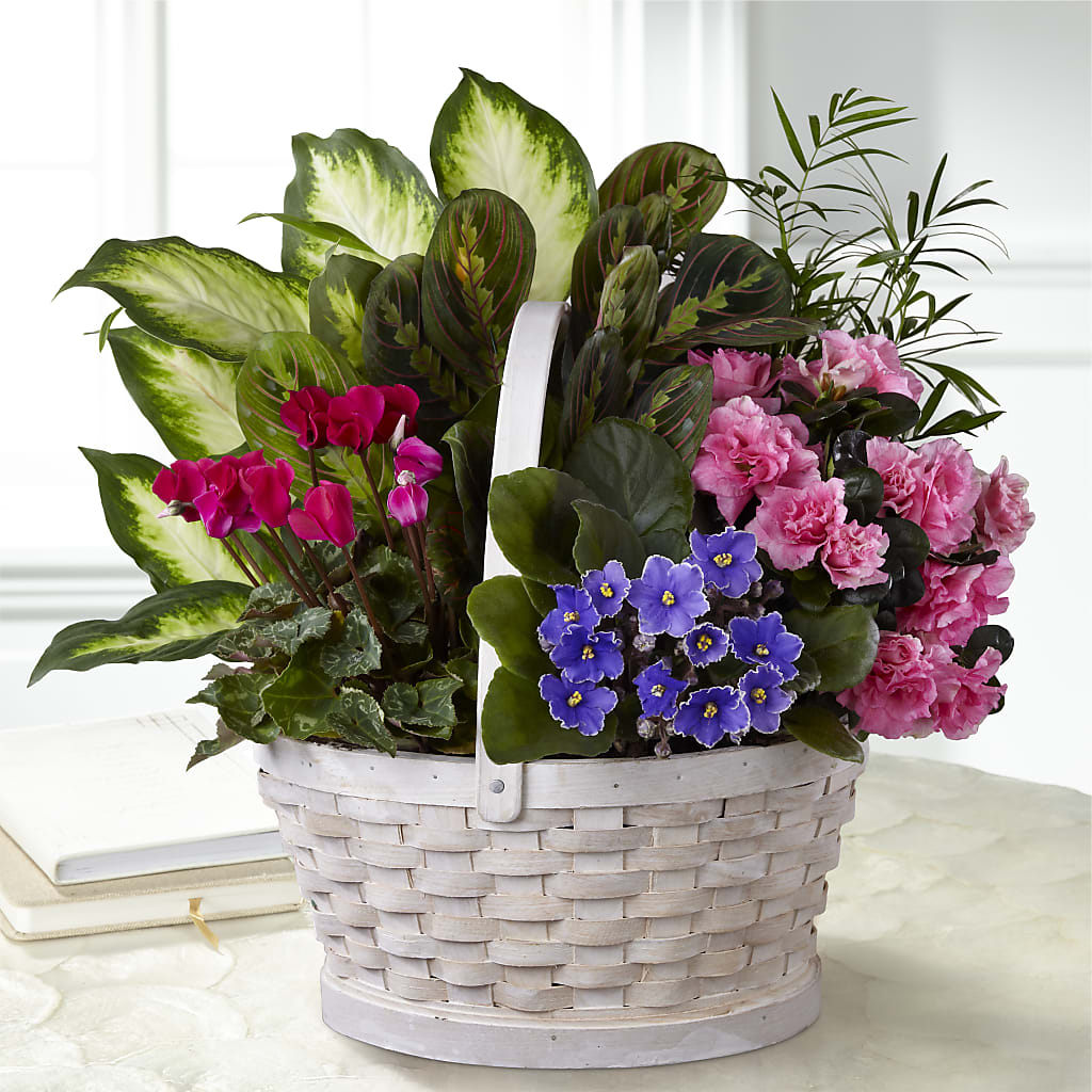 Peaceful Garden Planter – Alex Floral, Stockton CA