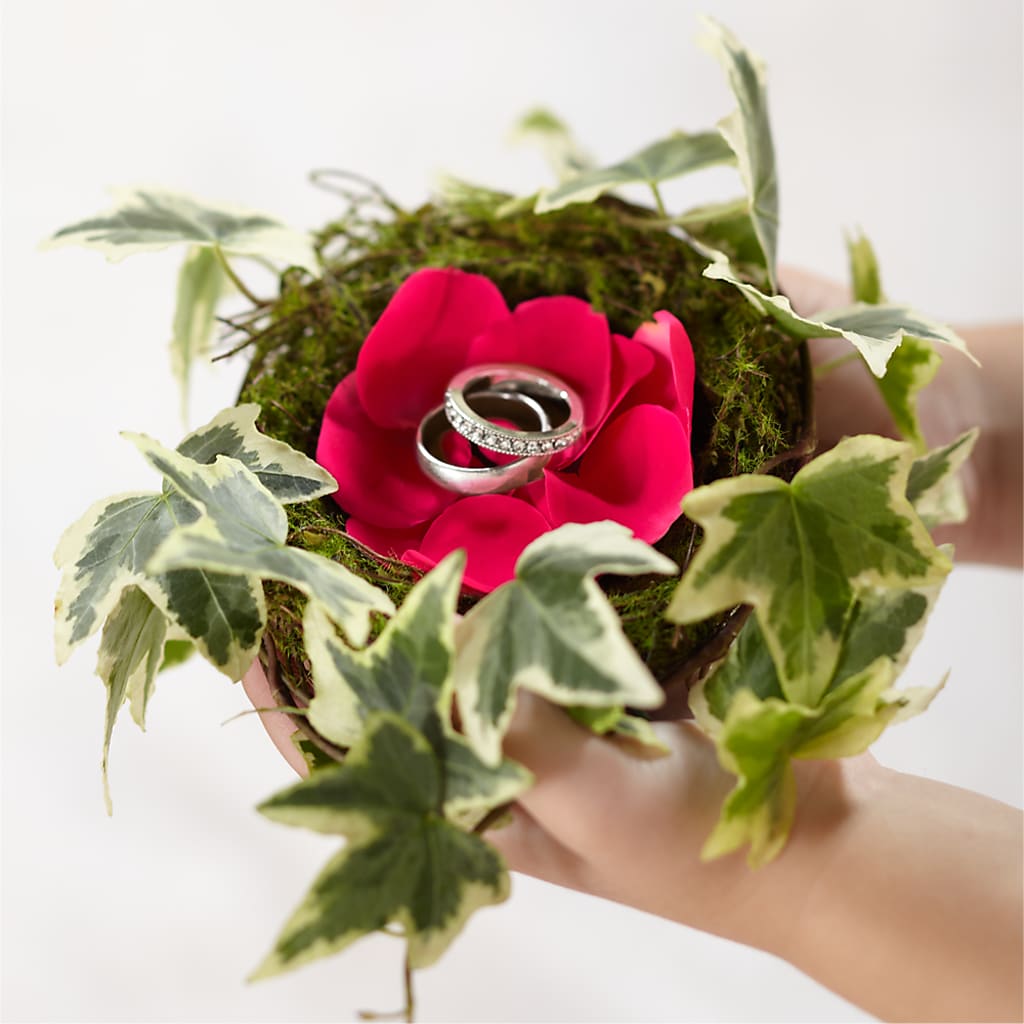 Lila Rose Ring Nest – Alex Floral, Stockton CA