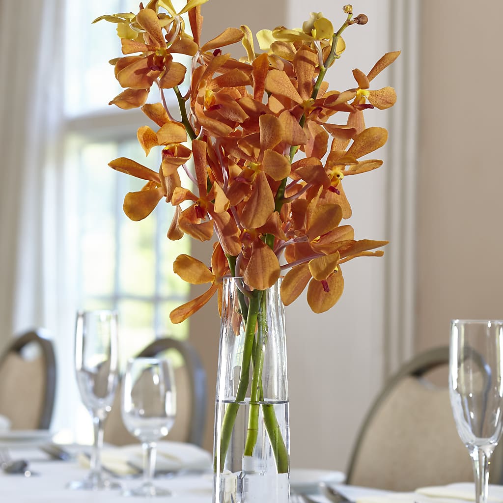 Orange Mokara Bud Vase – Alex Floral, Stockton CA