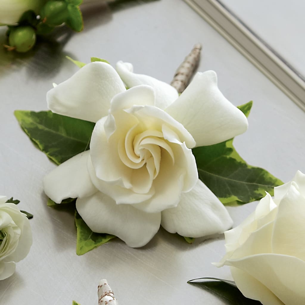 Gardenia Boutonniere – Alex Floral, Stockton CA