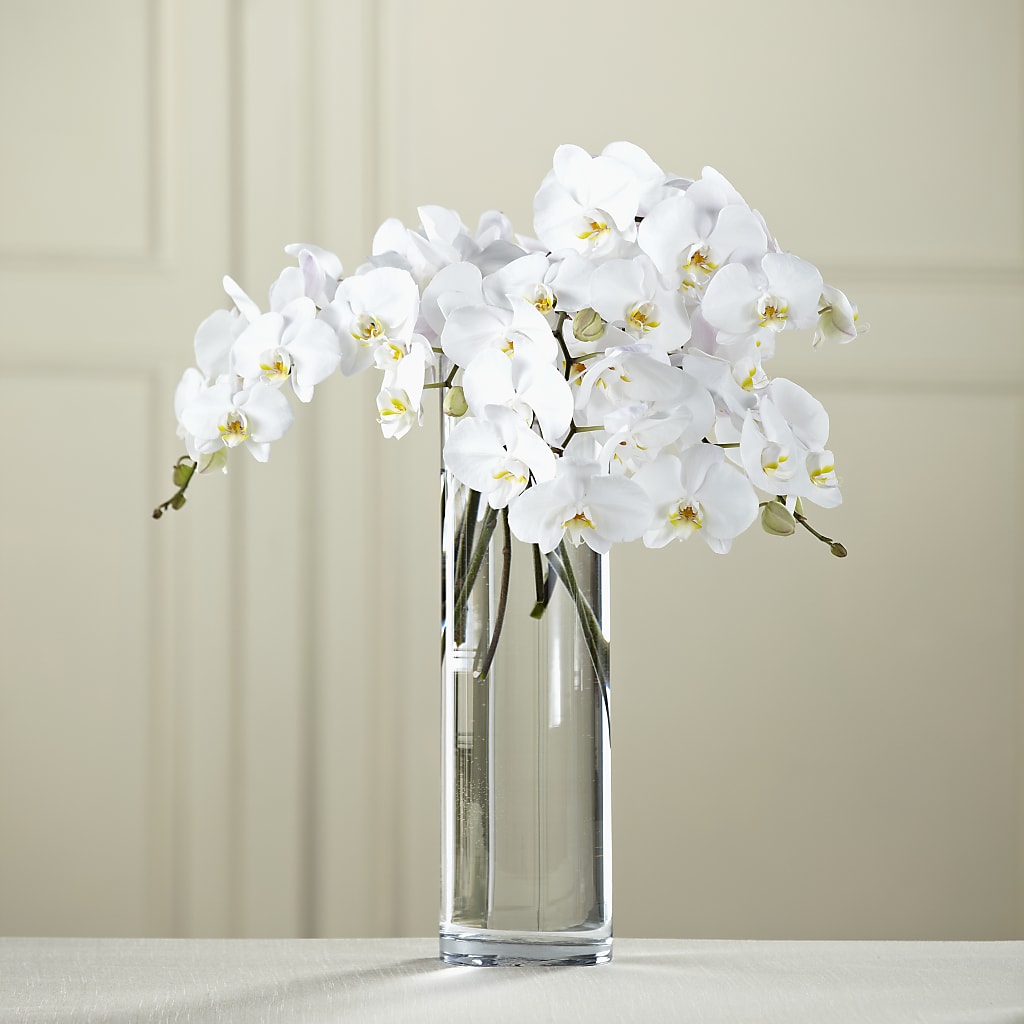 White Phalaenopsis Bouquet – Alex Floral, Stockton CA