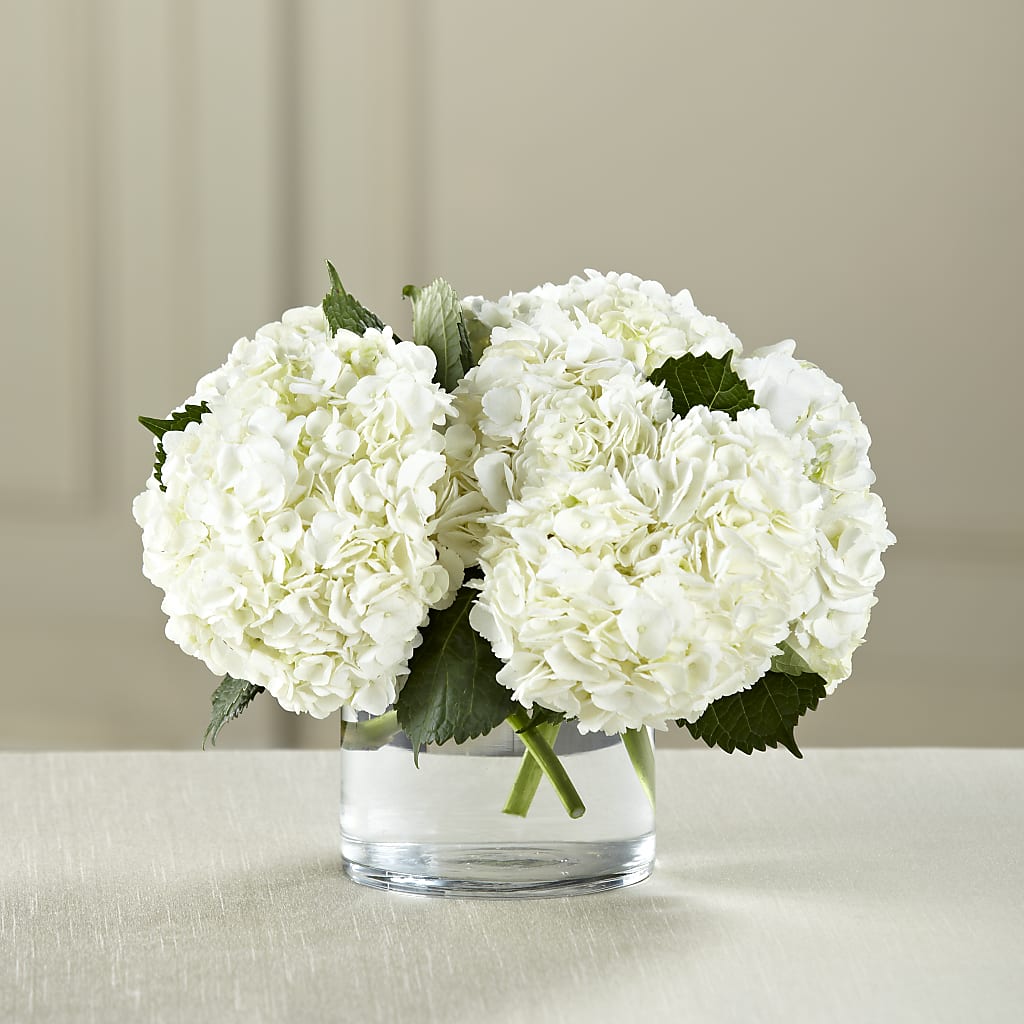 White Hydrangea Bouquet – Alex Floral, Stockton CA