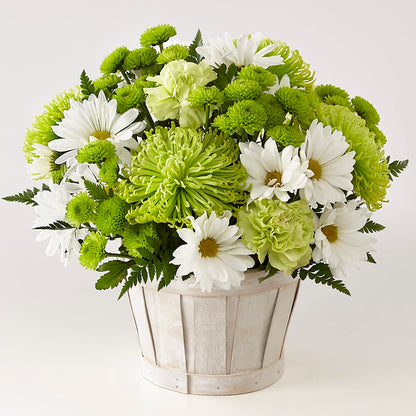 Lucky Charm Basket (Standard) –  Alex Floral, Stockton CA