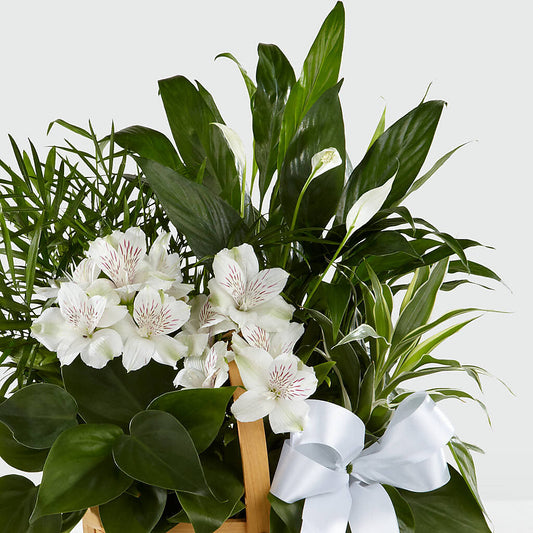 Peace & Serenity Dishgarden –  Alex Floral, Stockton CA