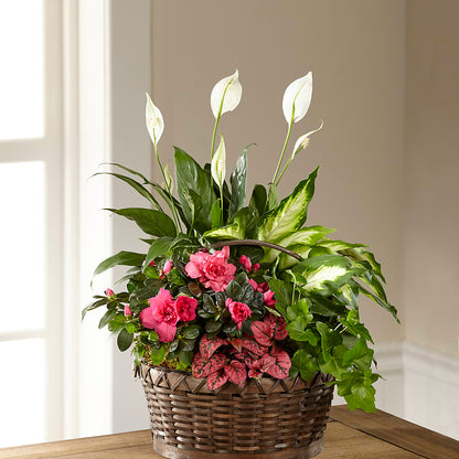 Dream in Pink Dishgarden –  Alex Floral, Stockton CA