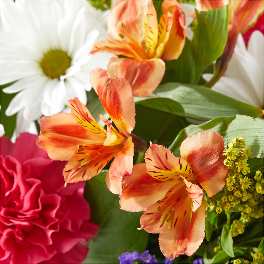 Oopsie Daisy Box Bouquet –  Alex Floral, Stockton CA