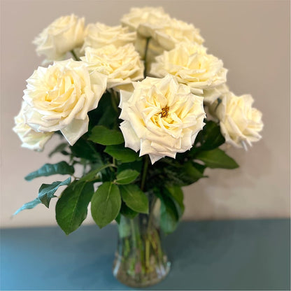 Long Stem Yellow Rose Bouquet –  Alex Floral, Stockton CA