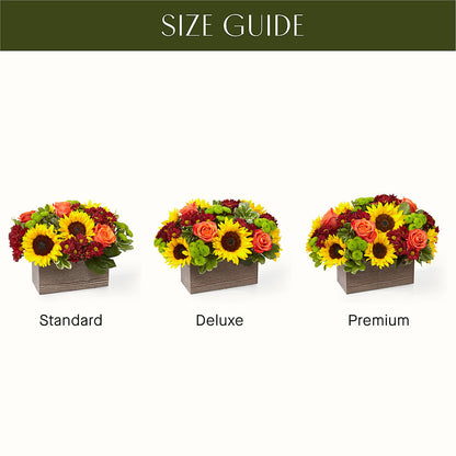Happy Harvest Garden –  Alex Floral, Stockton CA