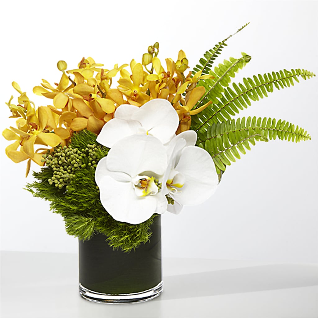 The Tropics –  Alex Floral, Stockton CA