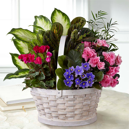 Peaceful Garden Planter –  Alex Floral, Stockton CA