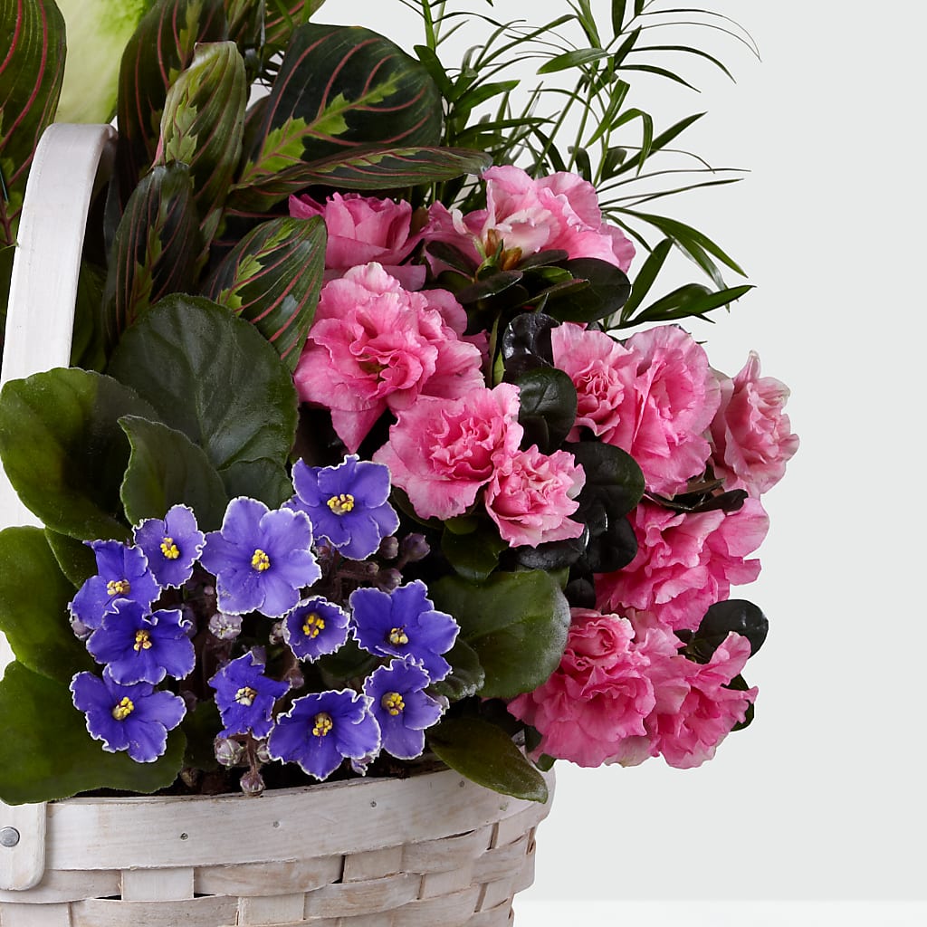 Peaceful Garden Planter –  Alex Floral, Stockton CA