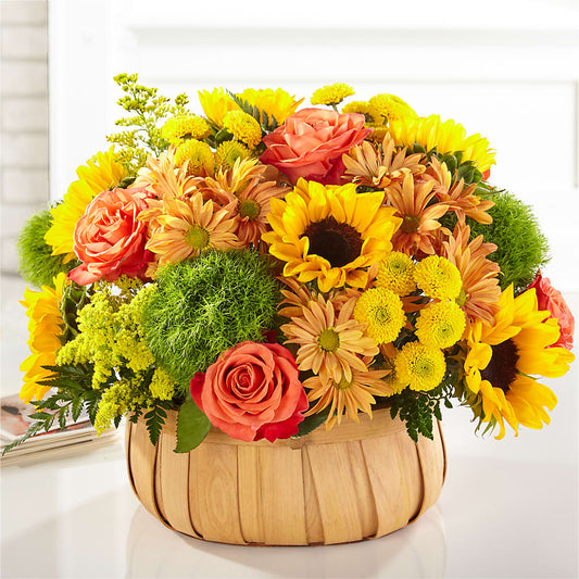 Harvest Sunflower Basket –  Alex Floral, Stockton CA