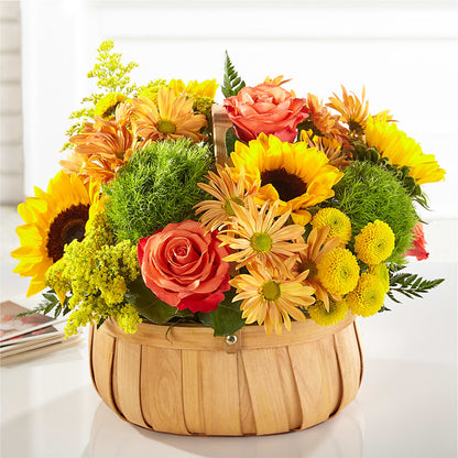 Harvest Sunflower Basket –  Alex Floral, Stockton CA