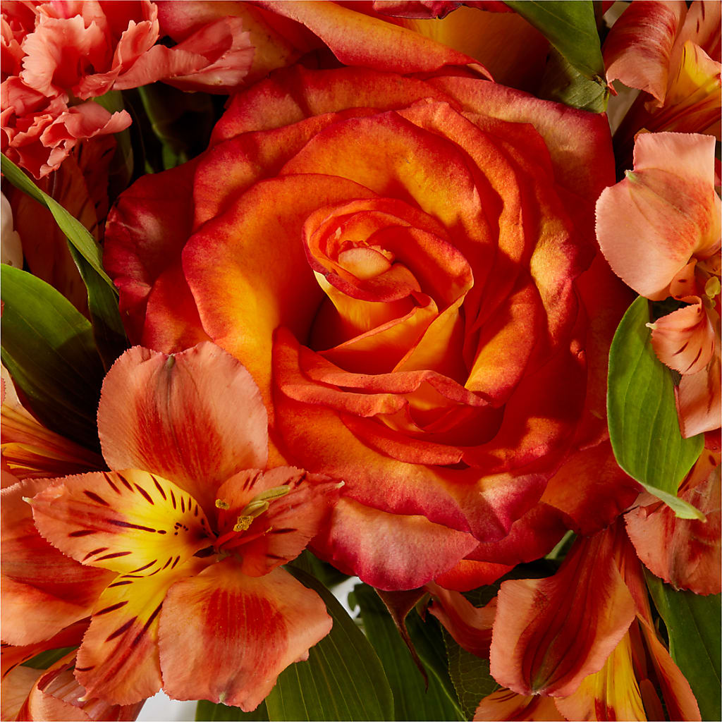 Apricot Glow Bouquet –  Alex Floral, Stockton CA