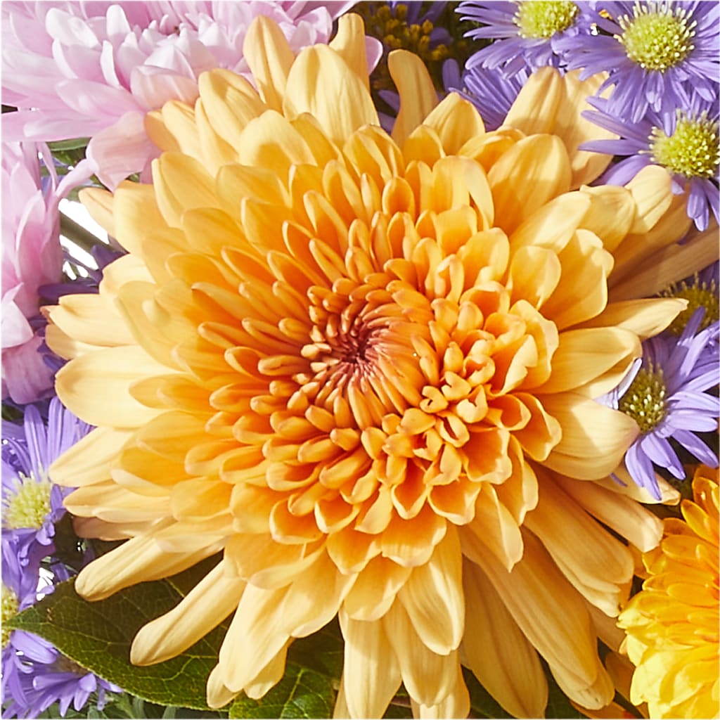 Countryside Bouquet –  Alex Floral, Stockton CA