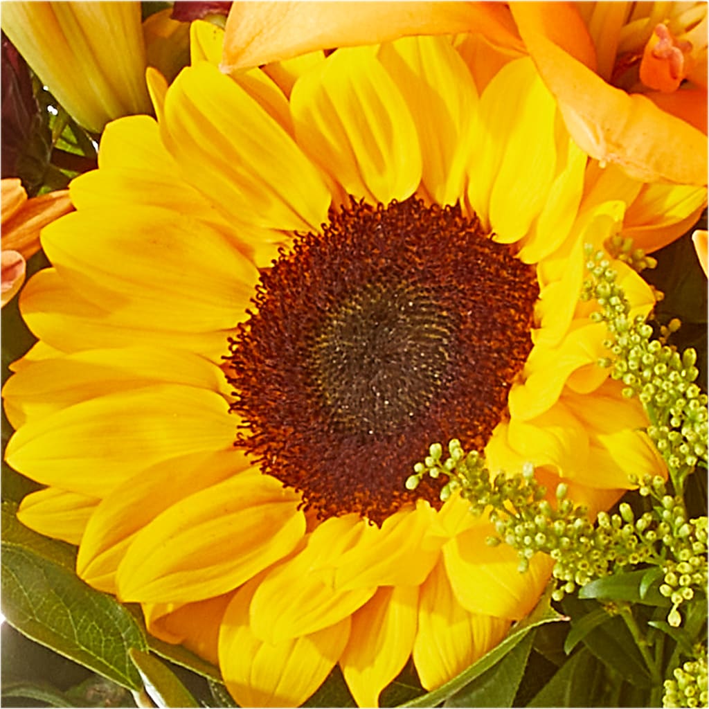 Seasons Change Bouquet –  Alex Floral, Stockton CA