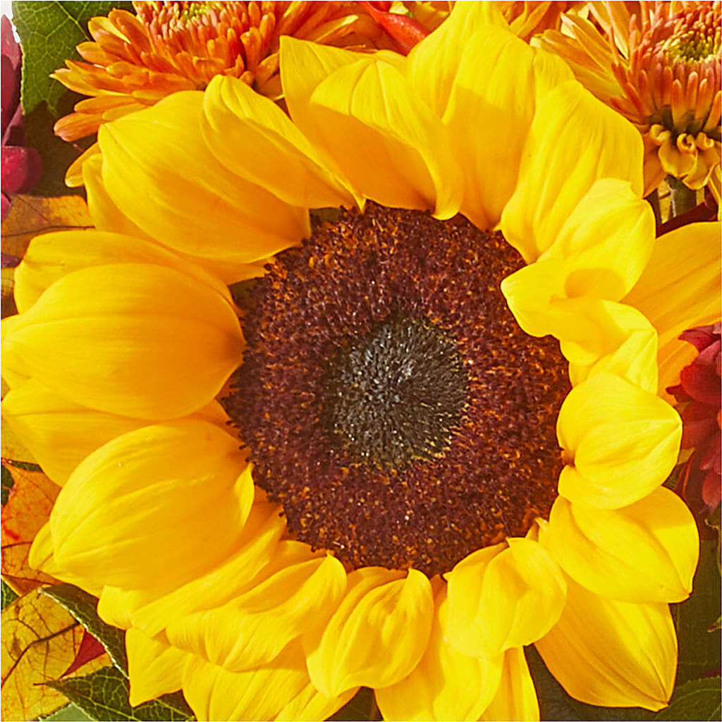 Sunny Side Bouquet –  Alex Floral, Stockton CA