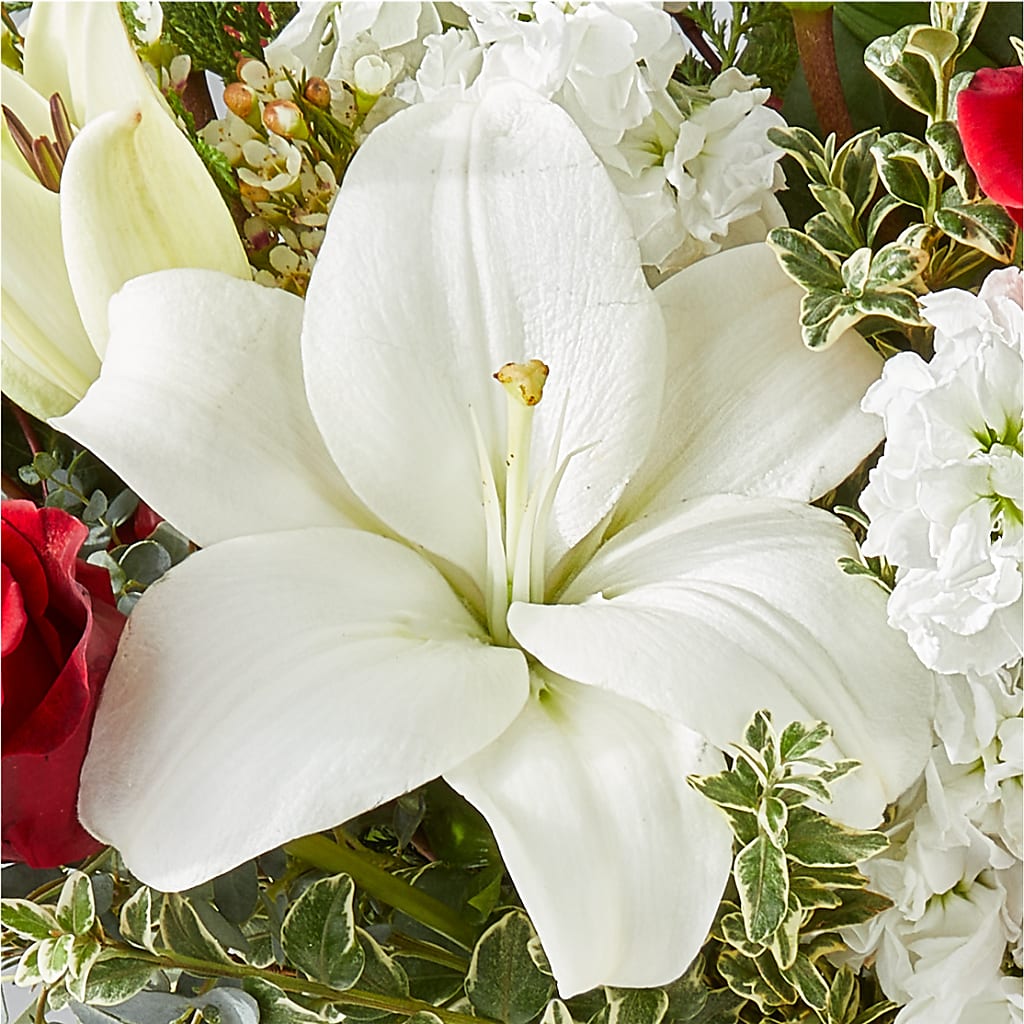 Twinkle Lights Bouquet –  Alex Floral, Stockton CA