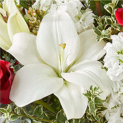 Twinkle Lights Bouquet –  Alex Floral, Stockton CA