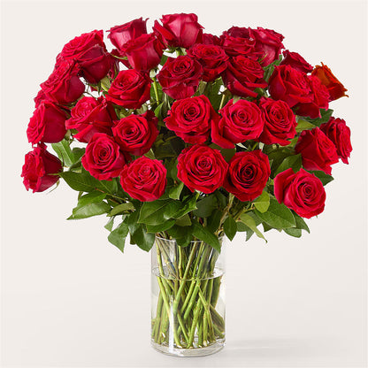 The One Red Rose Bouquet –  Alex Floral, Stockton CA
