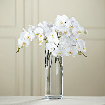 White Phalaenopsis Bouquet –  Alex Floral, Stockton CA