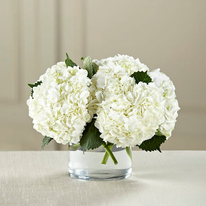White Hydrangea Bouquet –  Alex Floral, Stockton CA